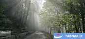 جاده ای میان ابرها