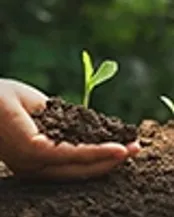 کود ارگانیک راهکاری برای افزایش تولید و کیفیت محصولات کشاورزی