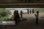 تابناک