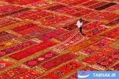 عکس: «مزارع فرش» در قلب آنتالیا؛ میراث دست‌باف آناتولی زیر آفتاب