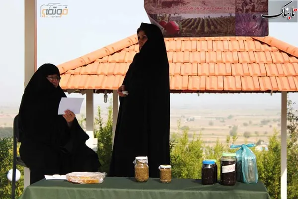 محصولات انار، ترشی انار