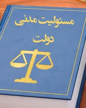 اگر بر اثر اقدامات نهادهای دولتی خسارتی به «شهروندان» وارد شود باید چگونه جبران شود؟