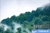 نفس تازه طبیعت در اسالم