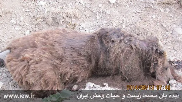تابناک