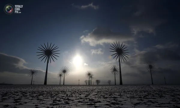 مزرعه توربین های بادی، آلمان
TOBIAS SCHWARZ/REUTERS
