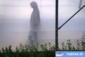 عکس: روزی در خاک و دریا