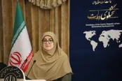 ستاد ویژه فضای مجازی به ریاست عارف تشکیل می‌شود