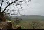 تابناک
