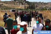 عکس: آتش‌زدن مزارع گندم فلسطینیان توسط شهرک‌نشینان اسرائیلی