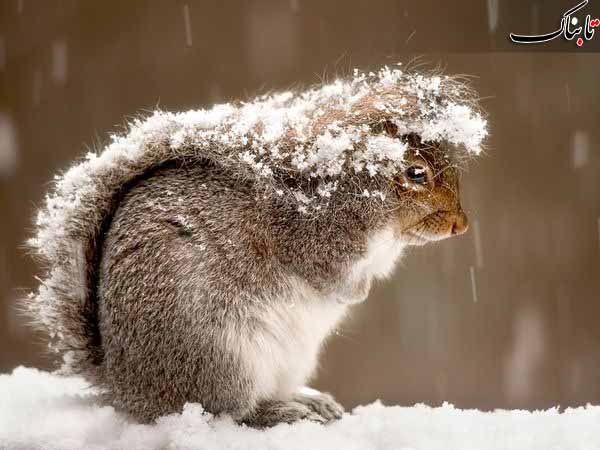 Best of February 2012