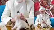ویدیوی جنجالی یک روحانی با یک سگ