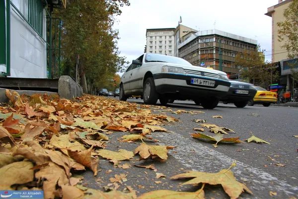 نمایی از برگهای ریخته بر زمین که متأثر از وزش باد خیابانهای تهران را فرا گرفته است