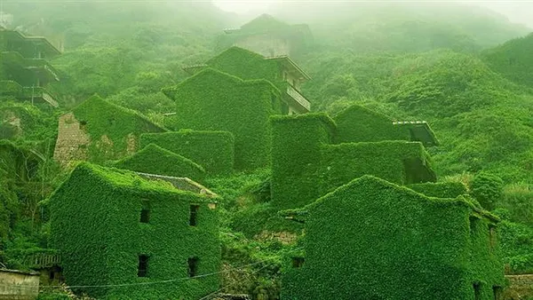 روستای ماهیگیران در مجمع&zwnj;الجزایر شنگسی در چین که ساکنانش آن را ترک کرده&zwnj;اند و طبیعت سبز بر آن غلبه کرده است.