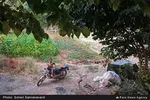 تابناک