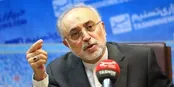 صالحی: هزار و ۴۴ سانتریفیوژ در فردو غنی‌سازی می‌کنند