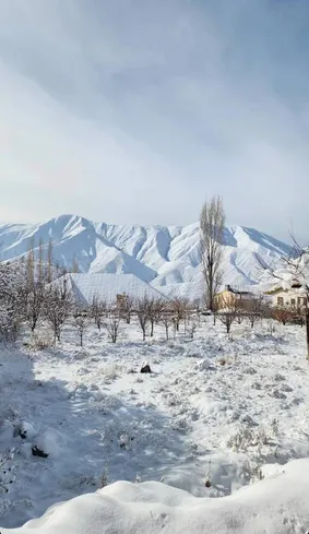 عکس: طبیعت برفی صبح امروز لواسان