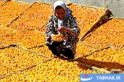 عکس: ماسوله خراسان و بام‌های طلایی بینالود