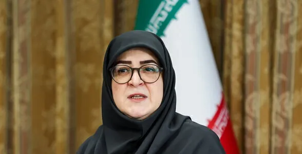 سخنگوی دولت سخنگوی دولت
