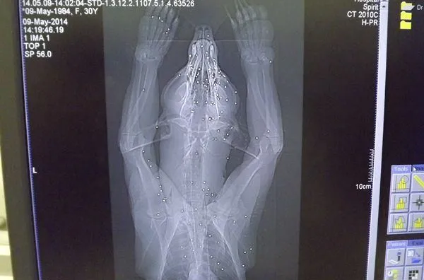 تابناک