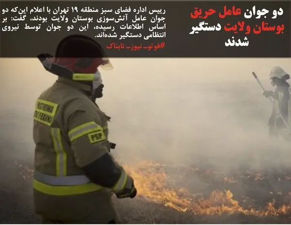 رییس اداره فضای سبز منطقه ١٩ تهران با اعلام این&zwnj;که دو جوان عامل آتش&zwnj;سوزی بوستان ولایت بودند، گفت: بر اساس اطلاعات رسیده، این دو جوان توسط نیروی انتظامی دستگیر شده&zwnj;اند.
