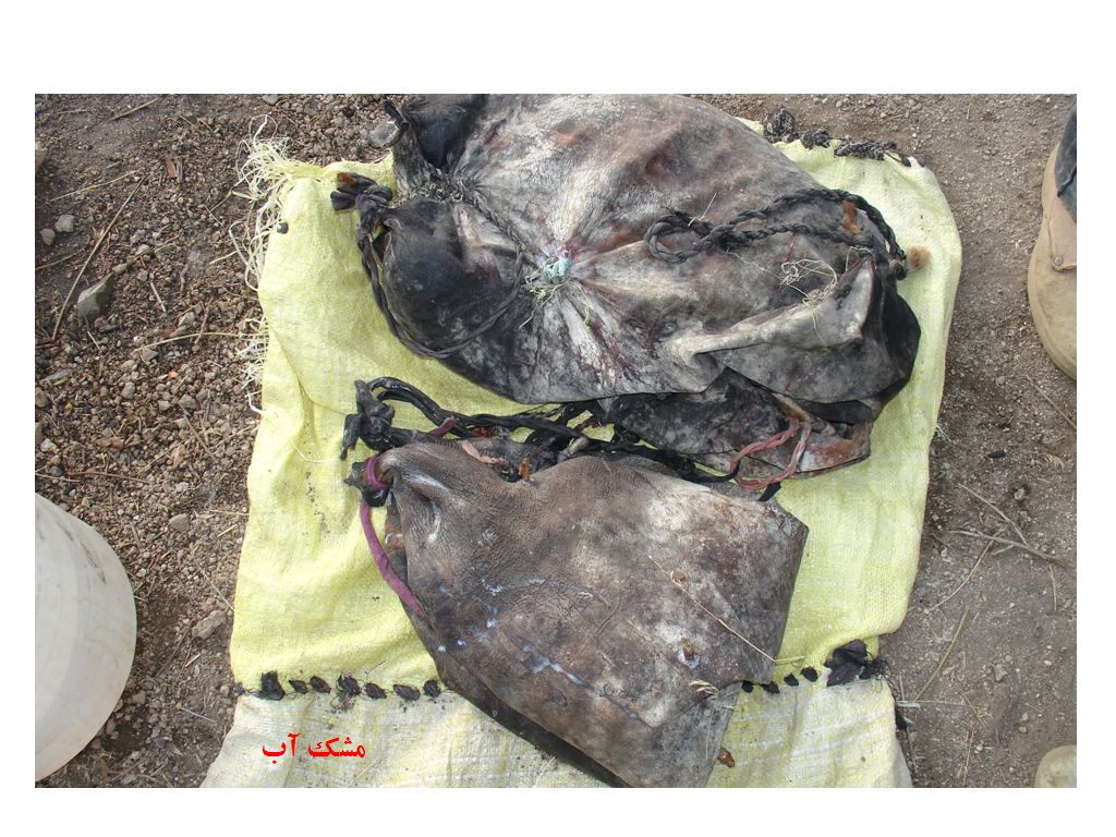 تابناک