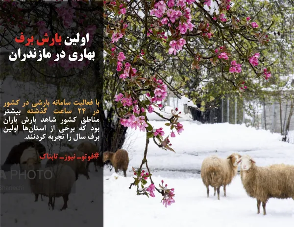 با فعالیت سامانه بارشی در کشور در ۲۴ ساعت گذشته بیشتر مناطق کشور شاهد بارش باران بود که برخی از استان&zwnj;ها اولین برف سال را تجربه کردنند.
