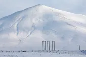 عکس: سهند سپیدپوش شد