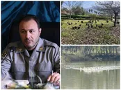 انتقال موقت پرندگان باغ پرندگان لویزان به مازندران