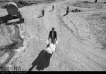 تابناک