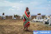 عکس: بحران خشکسالی؛ میلیون‌ها کنیایی در آستانه گرسنگی