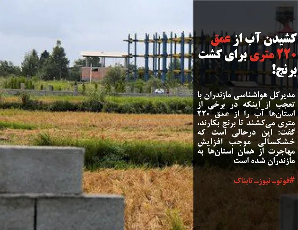 مدیرکل هواشناسی مازندران با تعجب از اینکه در برخی از استان&zwnj;ها آب را از عمق ۲۲۰ متری می&zwnj;کشند تا برنج بکارند، گفت: این درحالی است که خشکسالی موجب افزایش مهاجرت از همان استان&zwnj;ها به مازندران شده است

