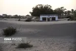 تابناک.