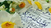 عهدی با مهدی ؛ مهدی رعنایی
