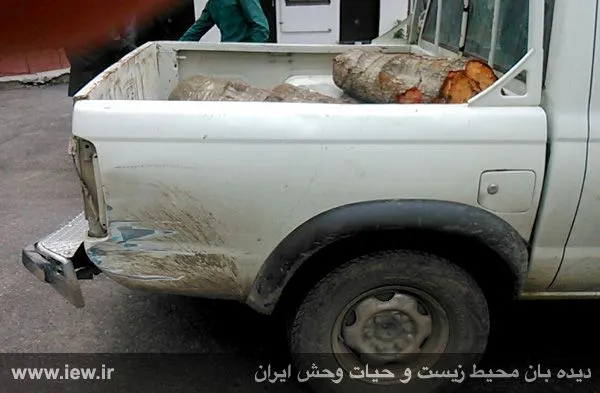 تابناک