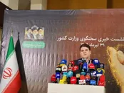 زینی‌وند: با توهین‌های سازماندهی شده برخورد شود/ همه در کنار استانهای درگیر جنگ هستیم