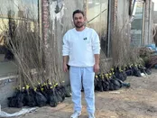 جشنواره بزرگ فروش نهال با ۲۰ درصد تخفیف در نهالستان پالیز