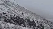 تصاویری زیبا از بارش شدید برف در جاده چالوس