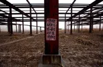 China's Abandoned Wonderland