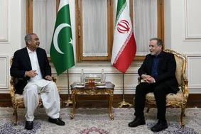 دیدار و رایزنی وزیر کشور پاکستان با عراقچی + عکس