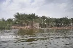 تابناک