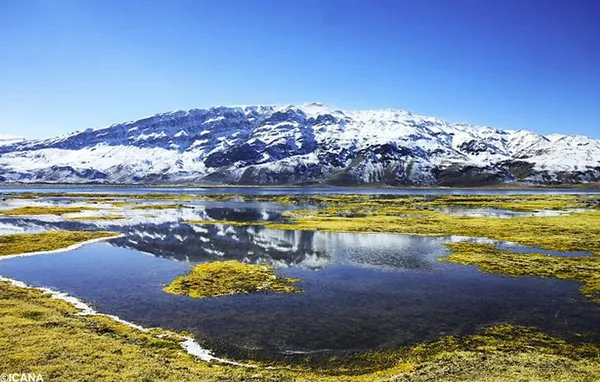 تالاب بین المللی گندمان چهار محال و  بختیاری