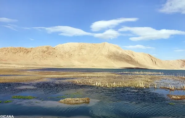 تالاب بین المللی چغاخور  شهر کرد