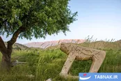 عکس: شیر سنگی؛ نگهبان جاودانه ایل بختیاری