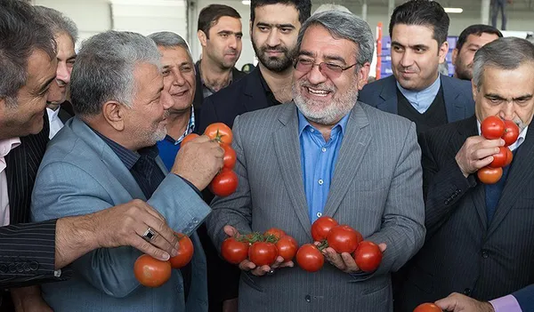 حالا گلابی نشد بیاید از این گوجه&zwnj;های برجامی بزنید روشن شید
