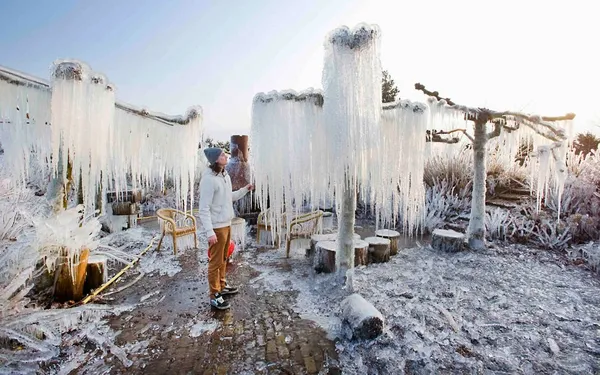 قندیل بستن درختان در پارک گیاهان هرونوین، هلند
REUTERS/Paul Vreeker/United Photos
