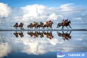 عکس: برندگان عکاسی ورزشی ۲۰۲۶