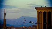 «دوش چه خورده‌ای دلا» شهرام ناظری / «من ایرانی‌ام» علیرضا عصار / «لیلا سوار بر کاروسل» انور براهم / «رندان سلامت می‌کنند» محمدرضا شجریان / «دلبر» محسن چاوشی