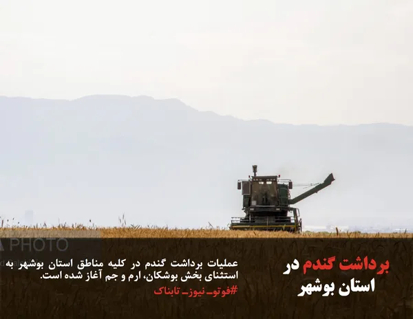 عملیات برداشت گندم در کلیه مناطق استان بوشهر به استثنای بخش بوشکان، ارم و جم آغاز شده است.
