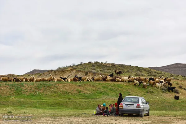 شیراز