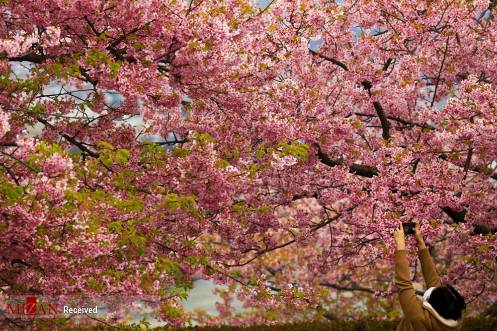 132